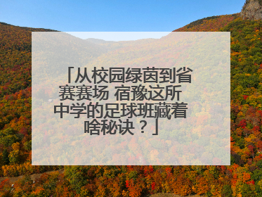 从校园绿茵到省赛赛场 宿豫这所中学的足球班藏着啥秘诀？