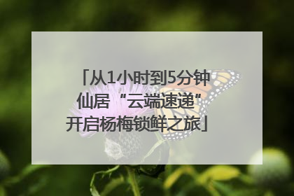 从1小时到5分钟 仙居“云端速递”开启杨梅锁鲜之旅