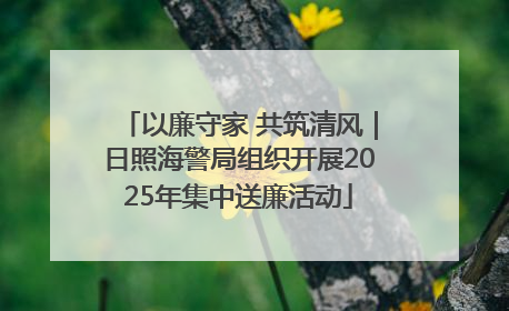 以廉守家 共筑清风｜日照海警局组织开展2025年集中送廉活动