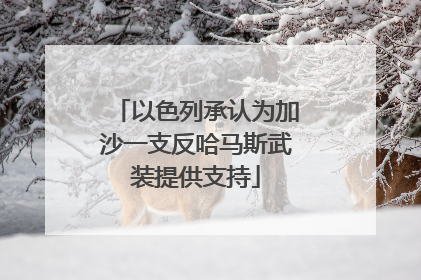 以色列承认为加沙一支反哈马斯武装提供支持