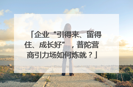 企业“引得来、留得住、成长好”，普陀营商引力场如何炼就？
