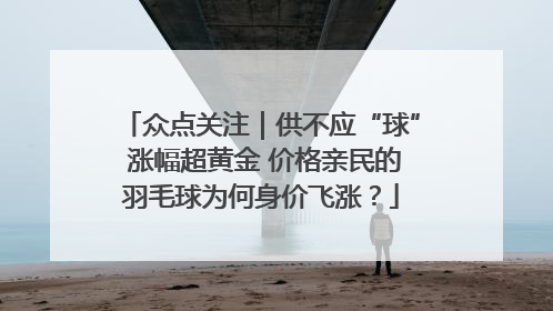 众点关注｜供不应“球” 涨幅超黄金 价格亲民的羽毛球为何身价飞涨？
