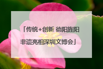 传统+创新 德阳旌阳非遗亮相深圳文博会