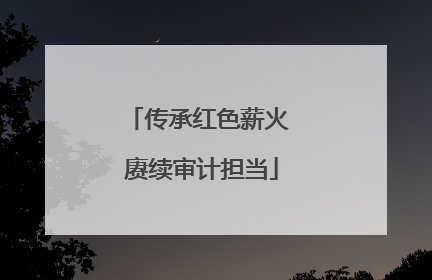 传承红色薪火 赓续审计担当