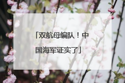 双航母编队！中国海军证实了