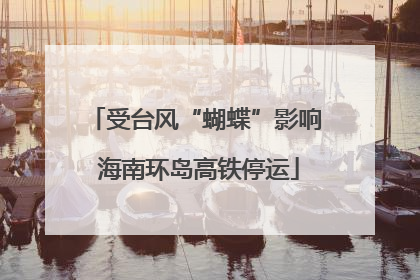 受台风“蝴蝶”影响 海南环岛高铁停运