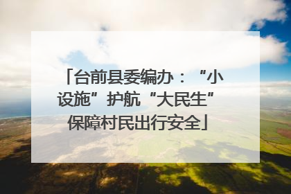 台前县委编办：“小设施”护航“大民生” 保障村民出行安全
