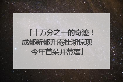 十万分之一的奇迹！成都新都升庵桂湖惊现今年首朵并蒂莲