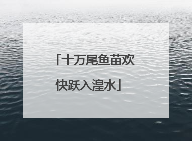 十万尾鱼苗欢快跃入湟水
