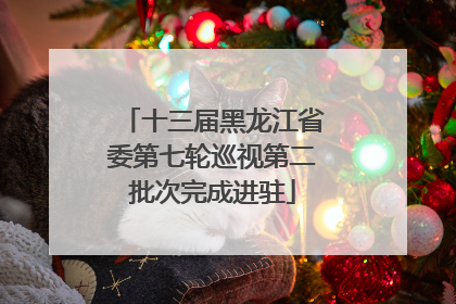 十三届黑龙江省委第七轮巡视第二批次完成进驻