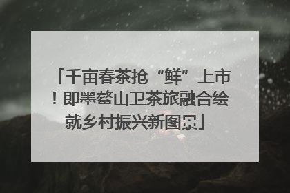 千亩春茶抢“鲜”上市！即墨鳌山卫茶旅融合绘就乡村振兴新图景