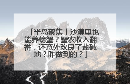 半岛聚焦丨沙漠里也能养螃蟹？蟹农收入翻番，还意外改良了盐碱地？咋做到的？