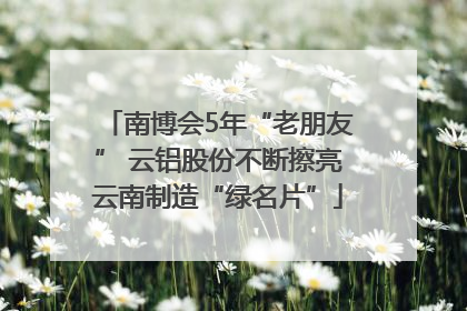 南博会5年“老朋友” 云铝股份不断擦亮云南制造“绿名片”