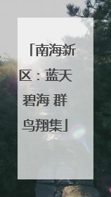 南海新区：蓝天碧海 群鸟翔集
