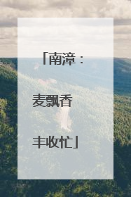 南漳：麦飘香 丰收忙