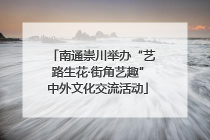 南通崇川举办“艺路生花·街角艺趣”中外文化交流活动