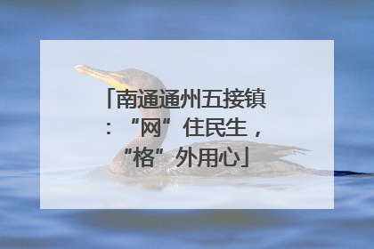 南通通州五接镇：“网”住民生，“格”外用心