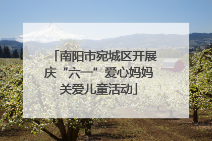 南阳市宛城区开展庆“六一”爱心妈妈关爱儿童活动