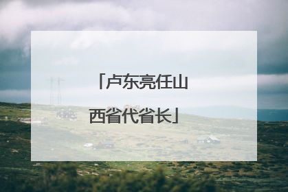 卢东亮任山西省代省长
