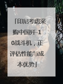 印尼考虑采购中国歼-10战斗机，正评估性能与成本优势