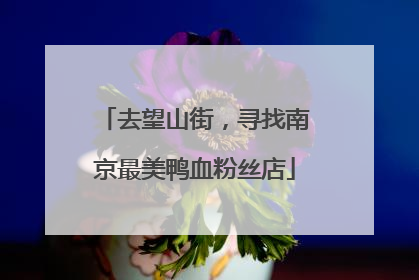 去望山街，寻找南京最美鸭血粉丝店