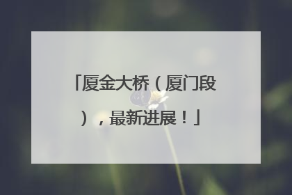 厦金大桥（厦门段），最新进展！
