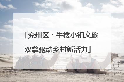 兖州区：牛楼小镇文旅双擎驱动乡村新活力