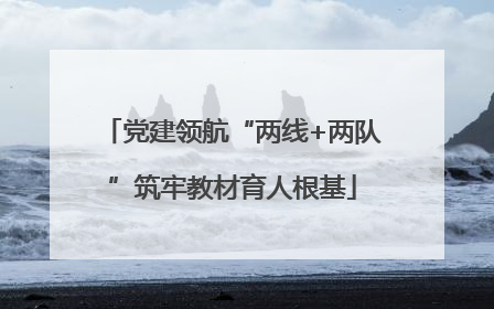 党建领航“两线+两队”筑牢教材育人根基