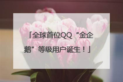 全球首位QQ“金企鹅”等级用户诞生！