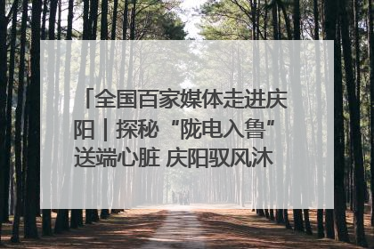 全国百家媒体走进庆阳｜探秘“陇电入鲁”送端心脏 庆阳驭风沐光点亮齐鲁万家