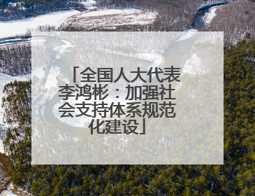 全国人大代表李鸿彬：加强社会支持体系规范化建设