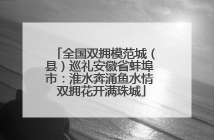 全国双拥模范城（县）巡礼安徽省蚌埠市：淮水奔涌鱼水情 双拥花开满珠城
