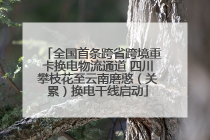 全国首条跨省跨境重卡换电物流通道 四川攀枝花至云南磨憨（关累）换电干线启动