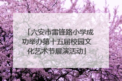 六安市雷锋路小学成功举办第十五届校园文化艺术节展演活动