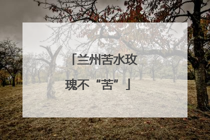兰州苦水玫瑰不“苦”
