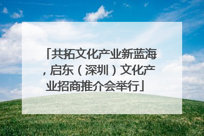 共拓文化产业新蓝海，启东（深圳）文化产业招商推介会举行