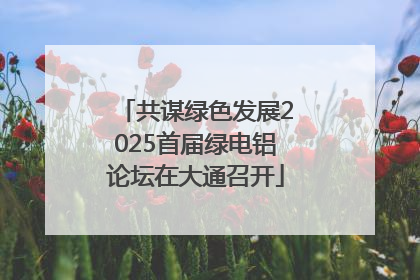 共谋绿色发展2025首届绿电铝论坛在大通召开