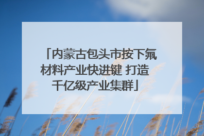内蒙古包头市按下氟材料产业快进键 打造千亿级产业集群