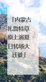 内蒙古扎鲁特草原上演夏日转场大迁徙