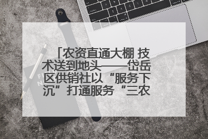 农资直通大棚 技术送到地头——岱岳区供销社以“服务下沉”打通服务“三农”最后一公里