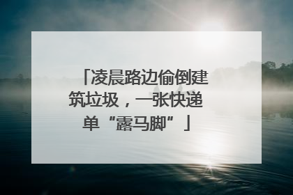 凌晨路边偷倒建筑垃圾，一张快递单“露马脚”