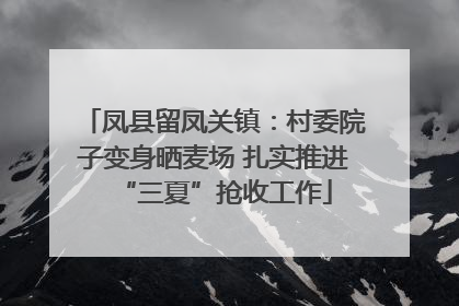 凤县留凤关镇：村委院子变身晒麦场 扎实推进“三夏”抢收工作