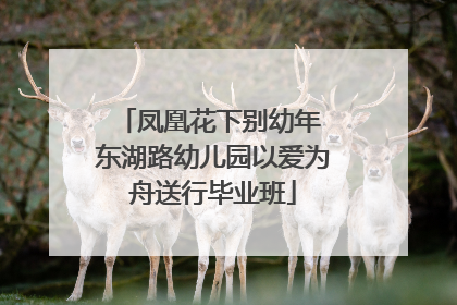 凤凰花下别幼年 东湖路幼儿园以爱为舟送行毕业班