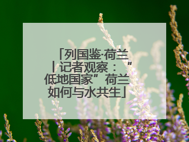 列国鉴·荷兰丨记者观察：“低地国家”荷兰如何与水共生