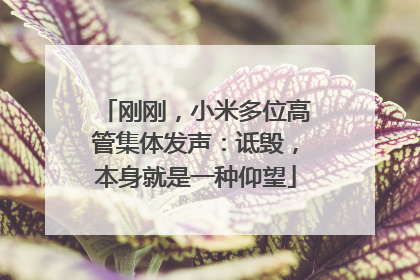 刚刚，小米多位高管集体发声：诋毁，本身就是一种仰望