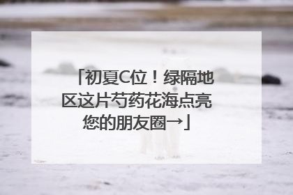 初夏C位！绿隔地区这片芍药花海点亮您的朋友圈→