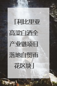 利比里亚高粱白酒全产业链项目落地自贸雨花区块