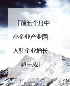 前五个月中小企业产业园入驻企业增长超三成