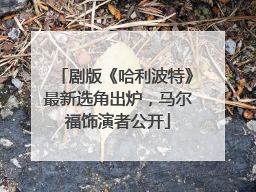 剧版《哈利波特》最新选角出炉，马尔福饰演者公开