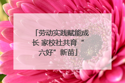 劳动实践赋能成长 家校社共育“六好”新苗